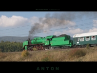 Zelený Anton